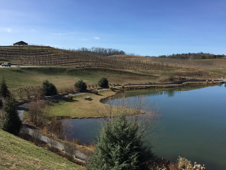 Rows of bare, pruned fruit trees on rolling hills above a pond with a picnic area, evergreen shrubs and a pavilion on the ridge